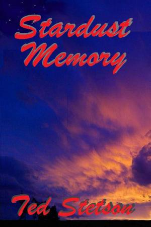 Book cover of Stardust Memory
