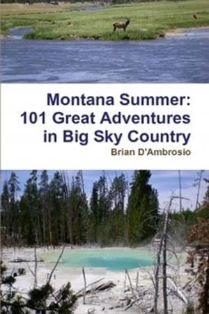 Cover of the book Montana Summer: 101 Great Adventures in Big Sky Country by Eric Kooser