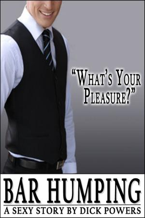 Cover of the book Bar Humping by Cara Bruce