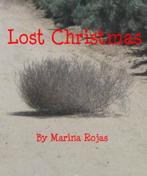 Book cover of Lost Christmas