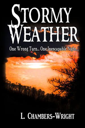 Cover of the book Stormy Weather by Kevin Rhodes, Gillian Rhodes