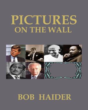Book cover of Pictures On The Wall