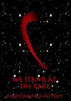 Cover of the book We Stand at the Gate by James Pratt