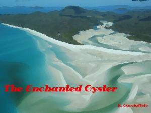 Cover of the book The Enchanted Oyster (Short Story) by Karen Cacciattolo