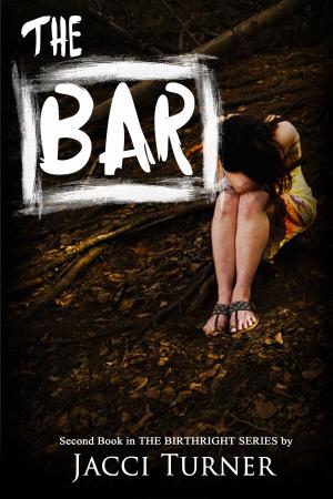 Book cover of The Bar