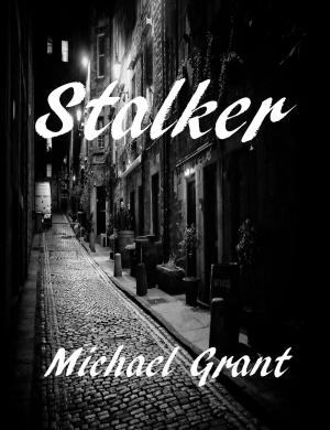 Cover of the book Stalker by Paul Thompson