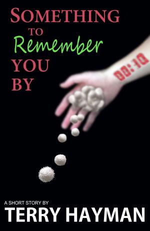 Cover of the book Something to Remember You By by Terry Hayman