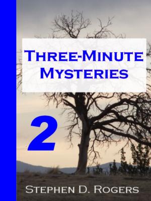 Book cover of Three-Minute Mysteries 2