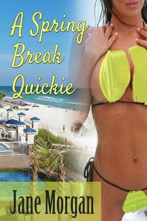 Cover of the book A Spring Break Quickie by Jane Morgan