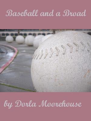 Cover of the book Baseball and a Broad by Amanda Perri
