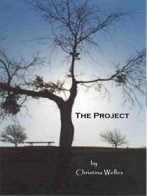 Cover of the book The Project by G D Parkar