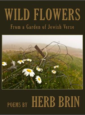 Book cover of Wild Flowers: From a Garden of Jewish Verse