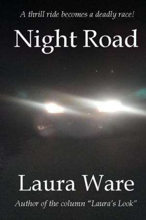 Cover of the book Night Road by L. A. Helms