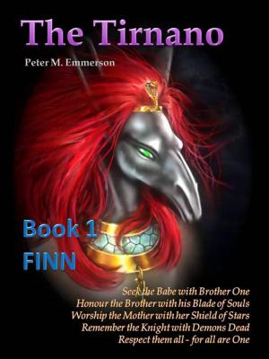 Cover of the book The Tirnano: Book 1 - FINN by Rachel Lightfoot