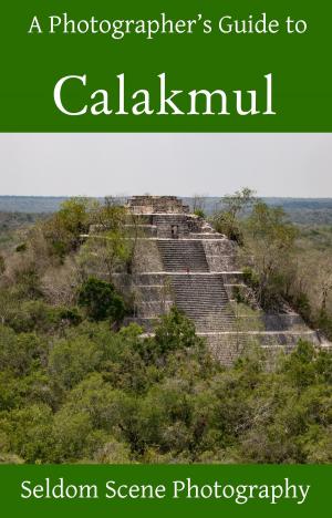 Book cover of A Photographer's Guide to Calakmul