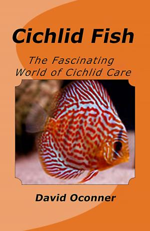 bigCover of the book Cichlid Fish by 