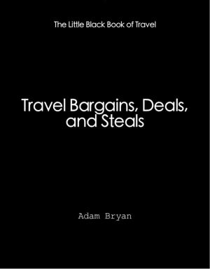 Cover of the book Travel Bargains, Deals and Steals by J. Martinez-Scholl
