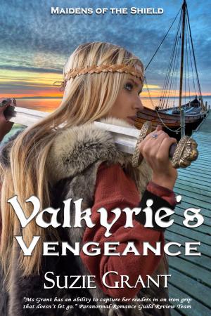 Cover of the book Valkyrie's Vengeance by Deborah Simmons