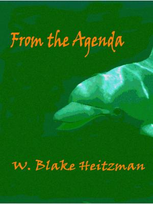 Cover of the book From the Agenda by Chris Hechtl