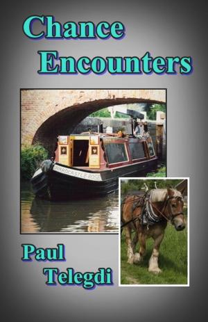 Cover of the book Chance Encounters by Paul Telegdi
