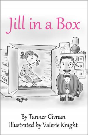 Cover of the book Jill in a Box by Connie Brummel Crook