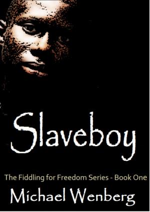 bigCover of the book Slaveboy, The Fiddling for Freedom Series, Book 1 by 