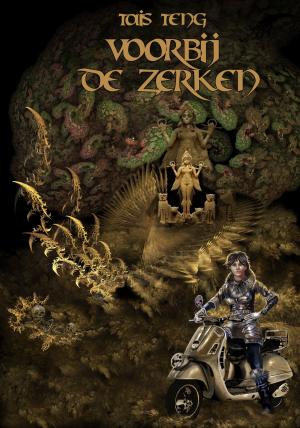 Book cover of Voorbij de Zerken