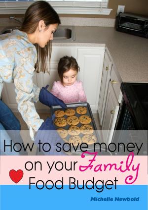 Book cover of How To Save Money On Your Family Food Budget