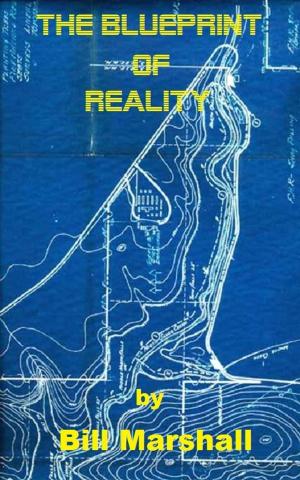 Book cover of The Blueprint of Reality