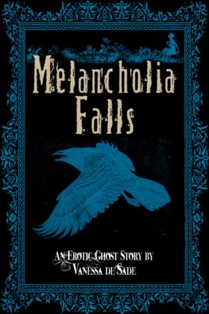 Cover of the book Melancholia Falls by Alexander Rivera