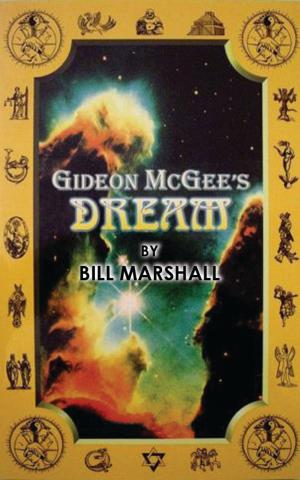 Book cover of Gideon McGee's Dream