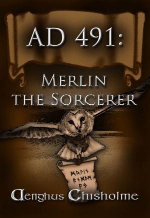Cover of the book Merlin the Sorcerer AD491 by Lori Hart Beninger