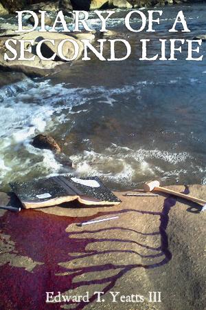 Book cover of Diary of a Second Life
