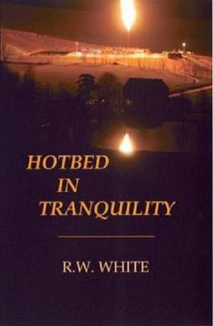 Book cover of Hotbed in Tranquility