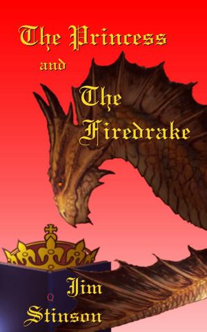 Cover of the book The Princess and the Firedrake by Vicky Adin