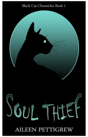 Cover of the book Soul Thief by Nicolas Virag