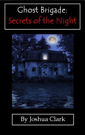 Book cover of Ghost Brigade: Secrets of the Night