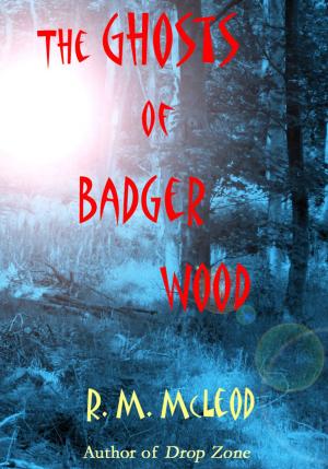 Book cover of The Ghosts of Badger Wood