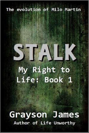 Cover of the book Stalk by J.L. Hohler III
