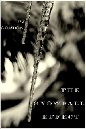 Cover of the book The Snowball Effect by Paul Henke
