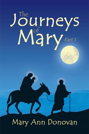 Cover of the book The Journeys of Mary by W. Lenore Mobley