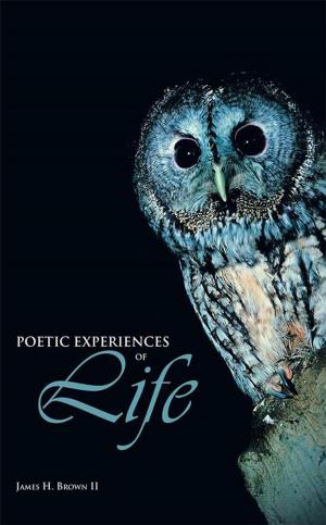 Cover of the book Poetic Experiences of Life by Deborah Kemp