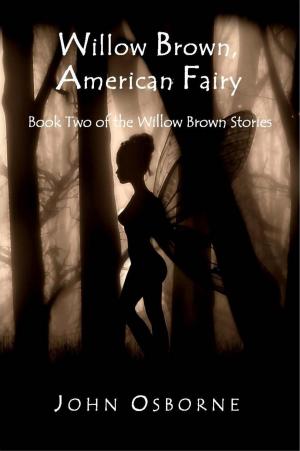 Book cover of Willow Brown, American Fairy