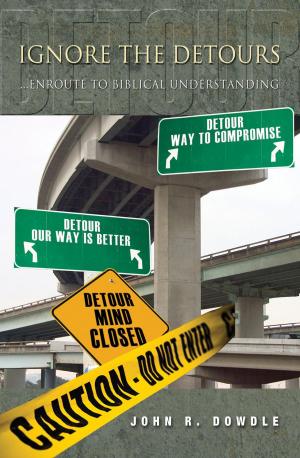 Cover of the book Ignore the Detours by J. Kevin Vasey
