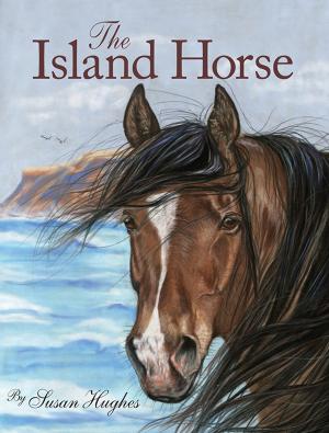 Cover of the book The Island Horse by Anne Renaud