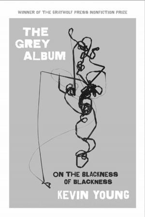 Book cover of The Grey Album
