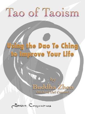 Cover of the book Tao of Taoism: Using the Dao Te Ching to Improve Your Life by Patricia de Martelaere