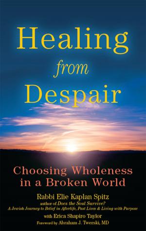 Book cover of Healing from Despair