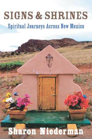 Cover of the book Signs & Shrines: Spiritual Journeys Across New Mexico by Brian Yarvin