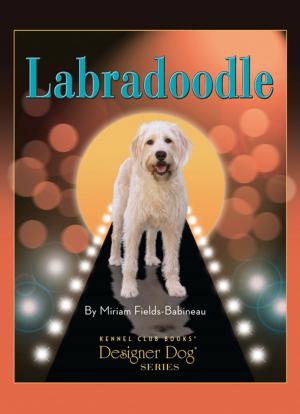 Cover of the book Labradoodle by Jackie Parente